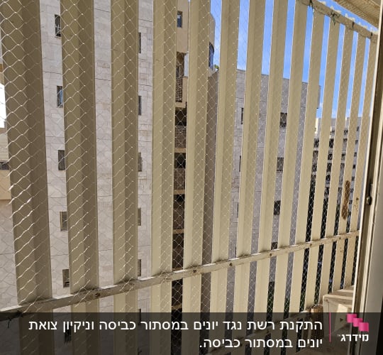 רשת מתכת על חלון למניעת כניסת יונים